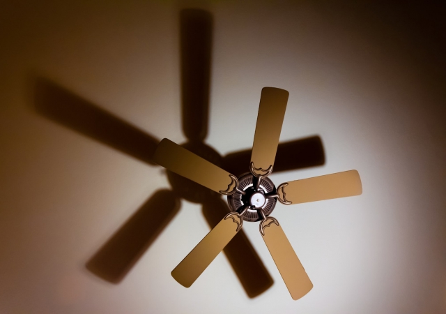 Electric Fans